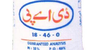 Profit of fertilizer sector down 12 percent 